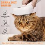 Cat Steam Brush for Tangle-Free Grooming