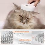 Cat Steam Brush for Tangle-Free Grooming