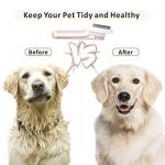 Self-Cleaning Slicker Brush for Cats and Dogs