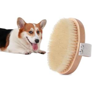 Gentle Soft Bristle Pet Brush for Dogs and Cats