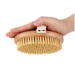 Gentle Soft Bristle Pet Brush for Dogs and Cats