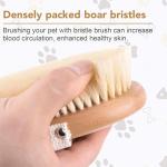 Gentle Soft Bristle Pet Brush for Dogs and Cats