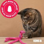 KONG Cat ZoomGroom - Soft Rubber Grooming Brush