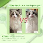 3-in-1 Cat Grooming Brush and Nail Clippers