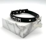 Luxury Adjustable Pu Leather Pet Collar and Leash