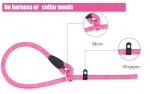 PETESCORT Reflective Slip Lead Dog Leash, Pink