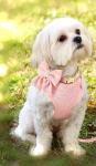 Pink Adjustable Dog Collar and Leash Set