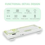 Bangsanth Wireless RGB Keyboard with Tri-Mode Connectivity