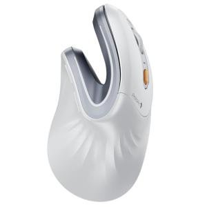 ProtoArc Wireless Ergonomic Vertical Mouse EM11