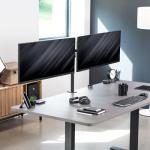 VIVO Dual Ultrawide Monitor Mount for 38-Inch Screens