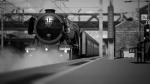 Train Sim World 4: Flying Scotsman Edition for PC