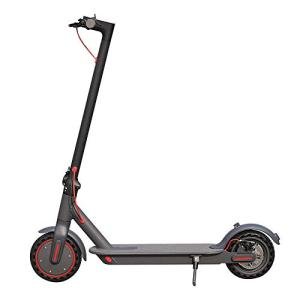 LENOXX Folding Electric Scooter with 350W Motor
