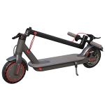 LENOXX Folding Electric Scooter with 350W Motor