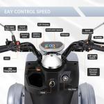 Heavy Duty 4-Wheel Mobility Scooter for Adults