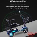 Two-Seater 4-Wheel Mobility Scooter with LED Lights