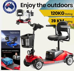 2025 1000W Portable Folding Electric Scooter