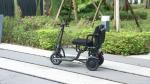 Foldable 3-Wheel Electric Mobility Scooter 350W