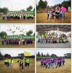 【Wantai US Ship】6PCS Nema 34 Stepper Motor 638oz-in,4.5A CNC Router Mill Cut kit