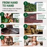 Vietnamese Dark Roast Robusta Coffee Beans