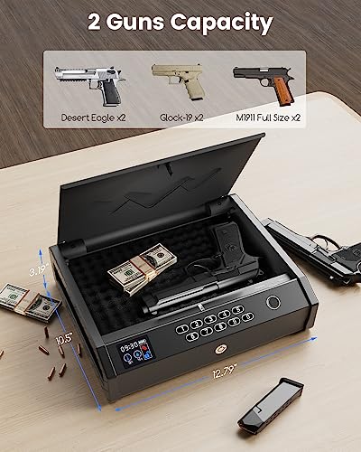 MOLICAR Biometric Gun Safe with LCD for 2 Guns