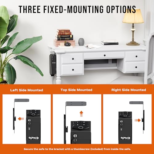 RPNB Biometric Fingerprint Handgun Safe with Auto Open