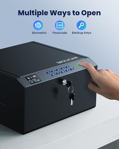 4-Pistol Biometric Gun Safe with LCD Display