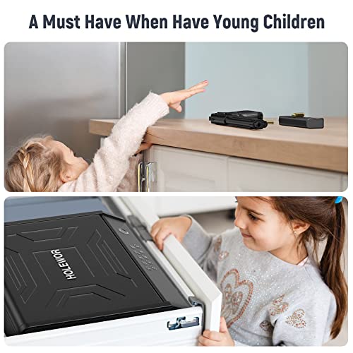 Biometric Gun Safe for 2 Pistols - Portable