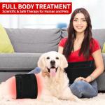 Infrared Red Light Therapy Waist Weight Loss Belt