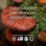 New Chapter Reishi Mushroom for Healthy Aging - 60 ct