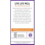 New Chapter Reishi Mushroom for Healthy Aging - 60 ct