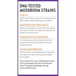 New Chapter Reishi Mushroom for Healthy Aging - 60 ct