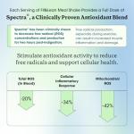 Chocolate Fit & Lean Meal Shake - 10 Servings