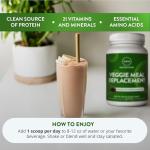 MRM Veggie Protein Shake - Chocolate Mocha Flavor
