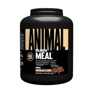 Animal Meal Protein Shake for Muscle Recovery - Chocolate