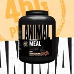 Animal Meal Protein Shake for Muscle Recovery - Chocolate