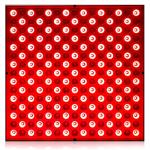 LED Red Light Therapy Device for Skin and Pain Relief