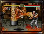 Art of Fighting Anthology - PS4 Limited Run