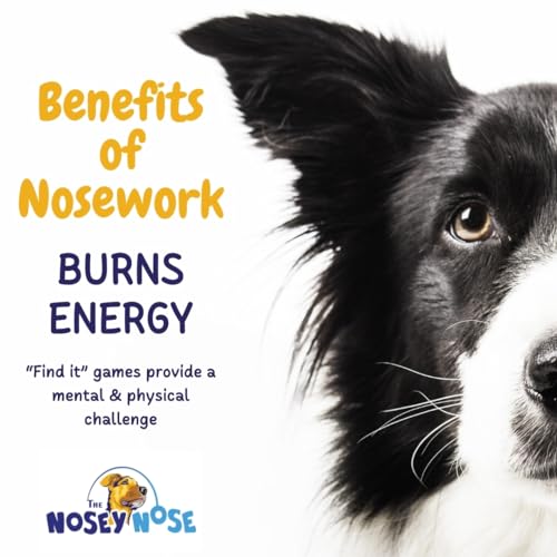Nosey Nose Dog Scent Training Kit with Games