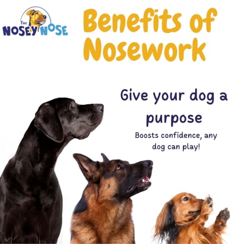 Nosey Nose Dog Scent Training Kit with Games