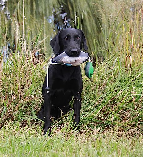 HuntEmUp Waterfowl Dog Training Scent Formula