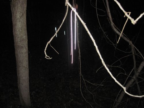 Cole Safety Reflective Trail Markers (40-Pack)