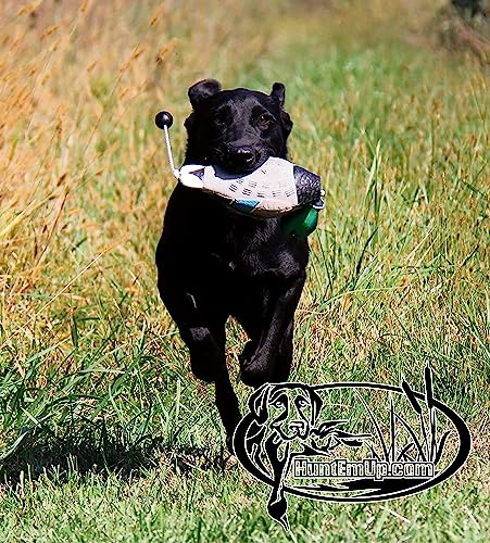 HuntEmUp Waterfowl Dog Training Scent Formula