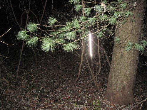 Cole Safety Reflective Trail Markers (40-Pack)