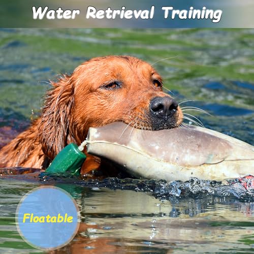 2 Pack Duck Bumper Toys for Dog Training