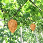 4 Pack Wasp Nest Decoys for Outdoor Protection