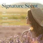 Provence Sante Almond Oil Liquid Hand Soap