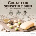 Unscented Castile Bar Soap with Cocoa Butter