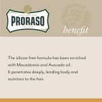 Proraso Wood & Spice Beard Oil for Men