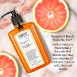 C.O. Bigelow Grapefruit Hand Wash, Village Perfumer Liquid Hand Soap with Aloe Vera & B5, 10 Fl Oz