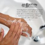 C.O. Bigelow Aqua Mellis Hand Wash, Iconic Collection Liquid Hand Soap with Shea Butter, Glycerin, Aloe Vera, 10.5 Fl Oz